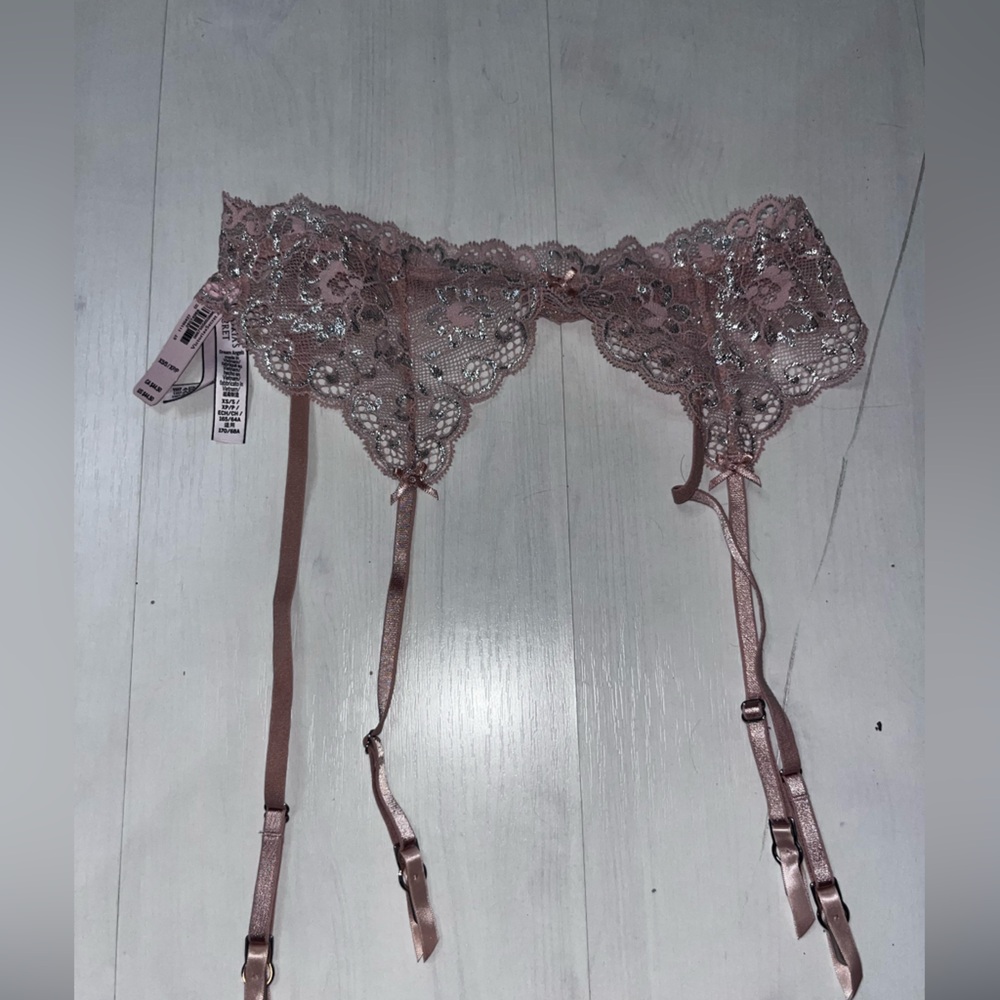 Victorias Secret Dream Angels Allure Silver Shine Garter Belt Evening Blush
